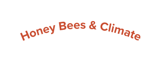 Honey Bees Climate